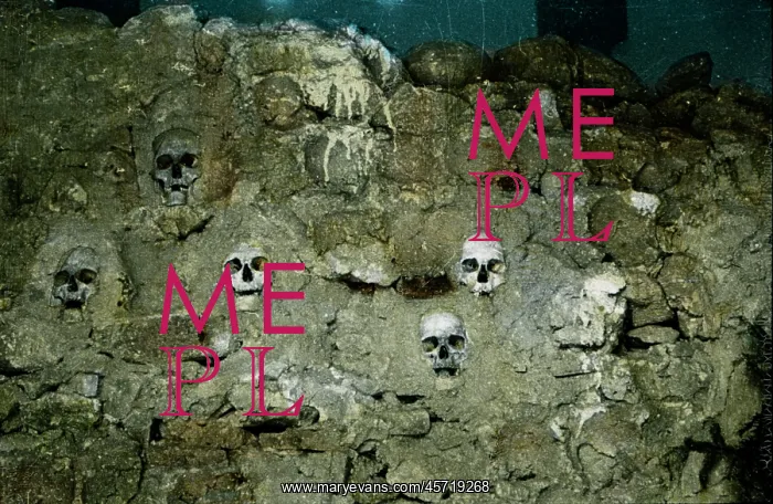 : Skulls - skeleton - bones - face : Skulls - skeleton - bones - face