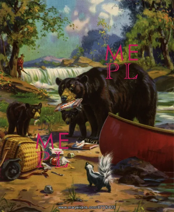 : Skunk interrupts Bears at Campsite : Skunk interrupts Bears at Campsite