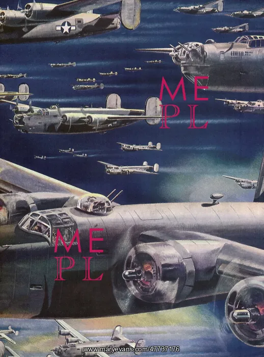: Sky filled with B-24 Liberators : Sky filled with B-24 Liberators