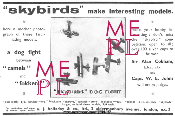 : Skybirds Model Aircraft : Skybirds Model Aircraft