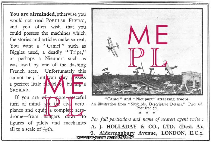  : Skybirds Models