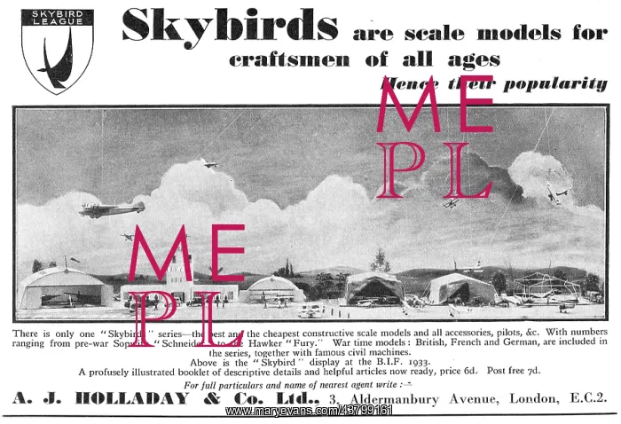 : Skybirds Scale Aircraft Models For Craftsmen : Skybirds Scale Aircraft Models For Craftsmen
