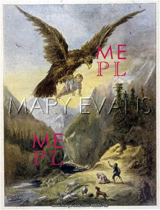 : SKYE EAGLE RAIDS BABY : SKYE EAGLE RAIDS BABY