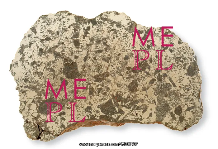 : Slab of the Lueders meteorite : Slab of the Lueders meteorite