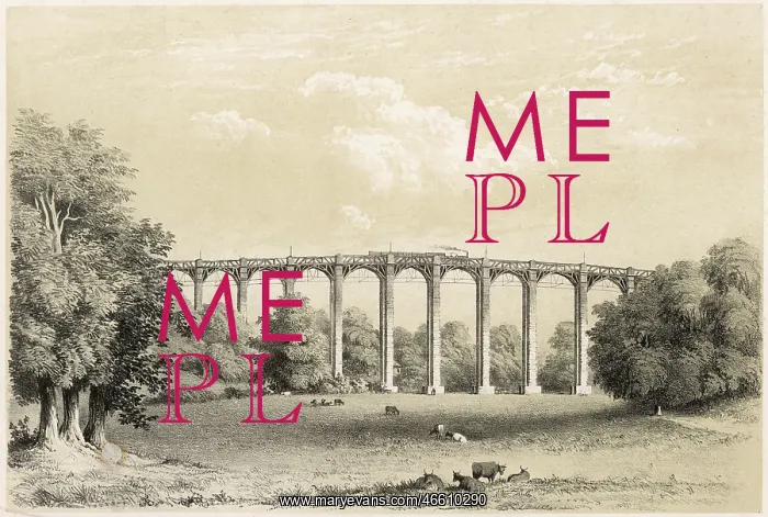  : SLADE VIADUCT DEVON