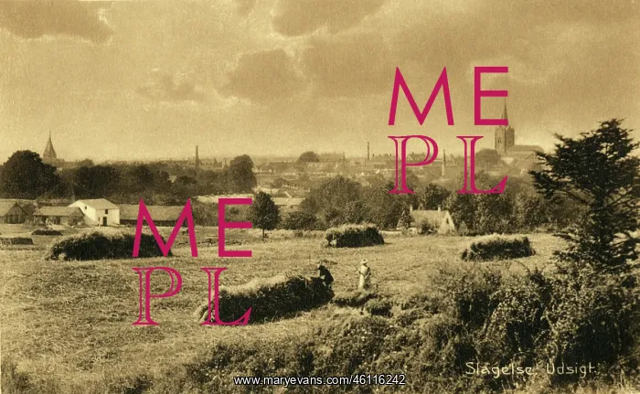 : Slagelse Denmark - Rural Scene of Harvesting : Slagelse Denmark - Rural Scene of Harvesting