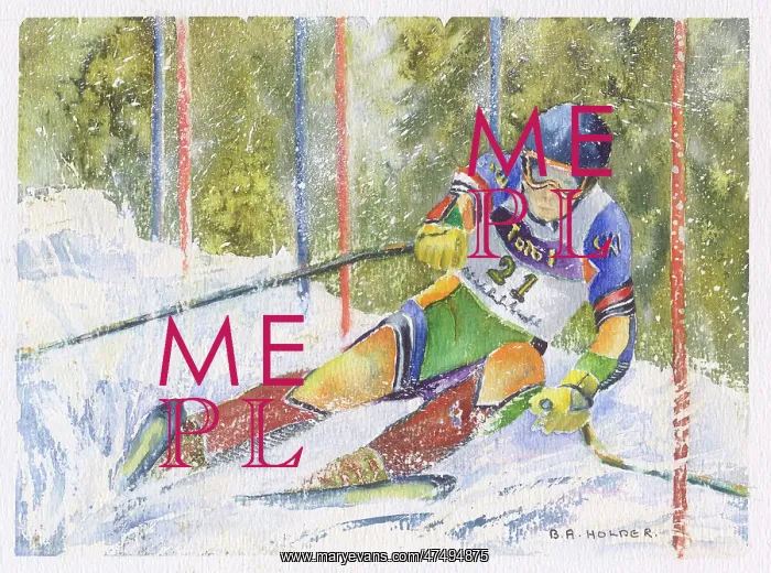  : Slalom Skier number 21