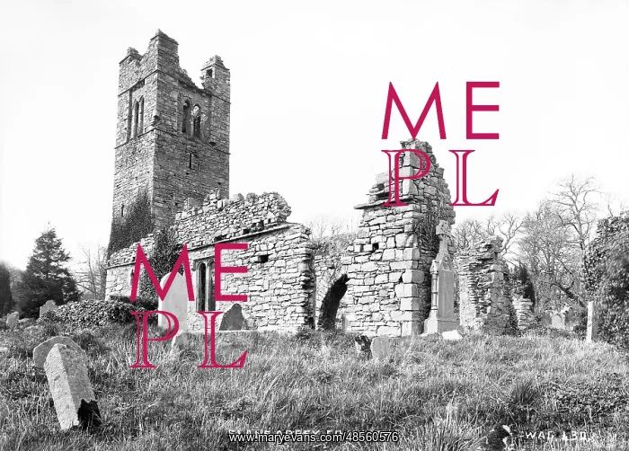 : Slane Abbey, Co Meath : Slane Abbey, Co Meath