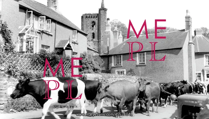  : Slapton, c1960