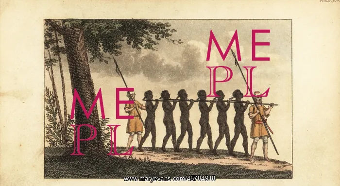 : Two slatees guard a coffle of enslaved men, Senegal : Two slatees guard a coffle of enslaved men, Senegal