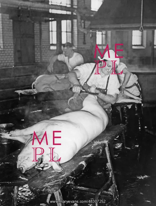 : Slaughterhouse, 1937 : Slaughterhouse, 1937