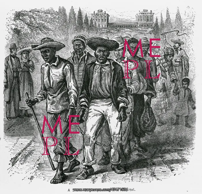 : A slave-coffle passing the Capitol : A slave-coffle passing the Capitol