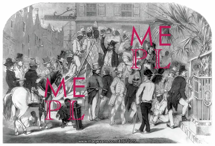 : Slave Market Auction, 1856 : Slave Market Auction, 1856