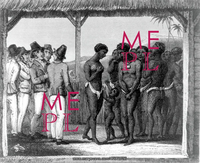 : Slave Market Auction : Slave Market Auction