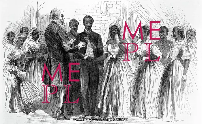 : Former Slave Marriage Legalized, 1866 : Former Slave Marriage Legalized, 1866