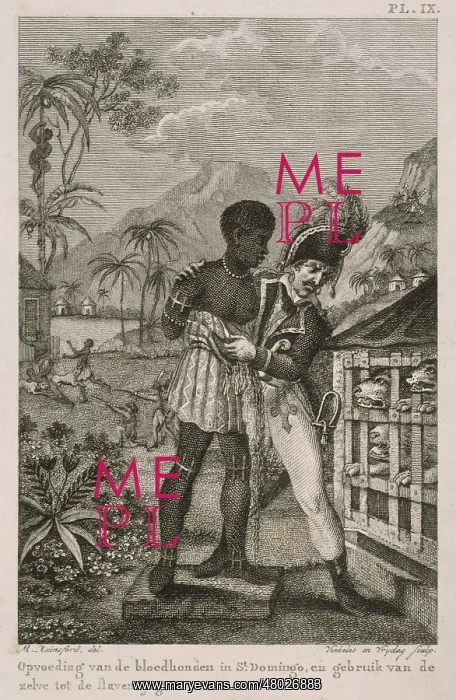  : Slave revolt in Santo Domingo