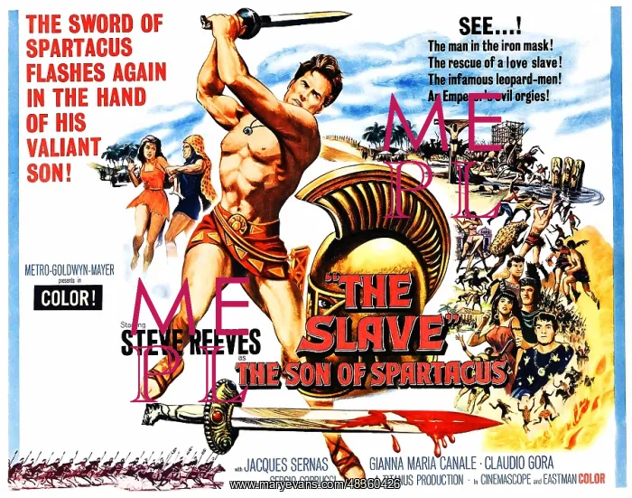 : The Slave, The Son of Spartacus starring Steve : The Slave, The Son of Spartacus starring Steve