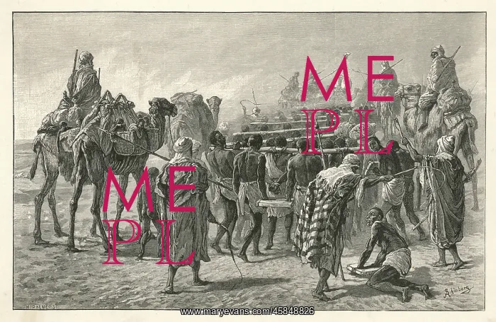  : SLAVERY / AFRICA