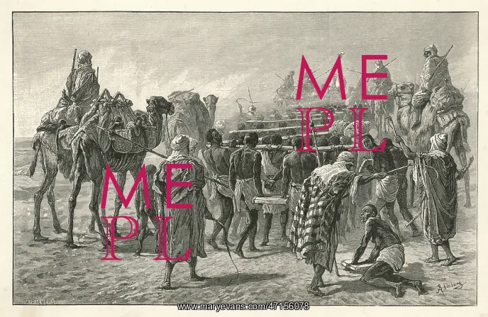  : SLAVERY / AFRICA