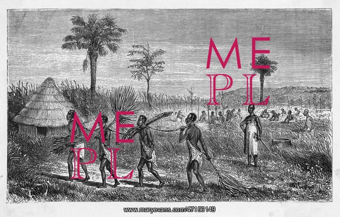 : SLAVERY / AFRICA : SLAVERY / AFRICA