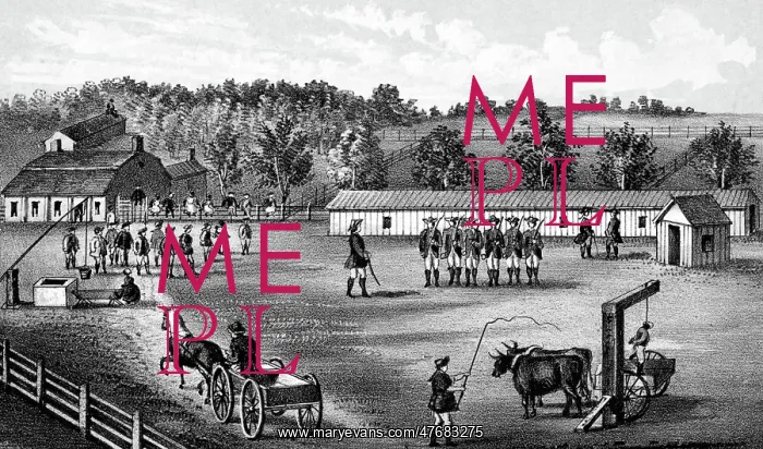 : Slavery, Inhumane Slave Codes, 1860 : Slavery, Inhumane Slave Codes, 1860