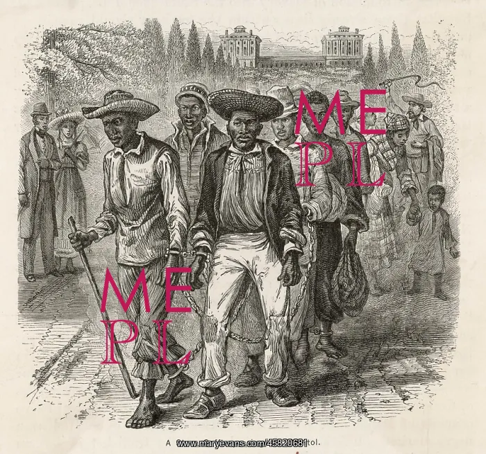 : SLAVERY / NORTH AMERICA : SLAVERY / NORTH AMERICA