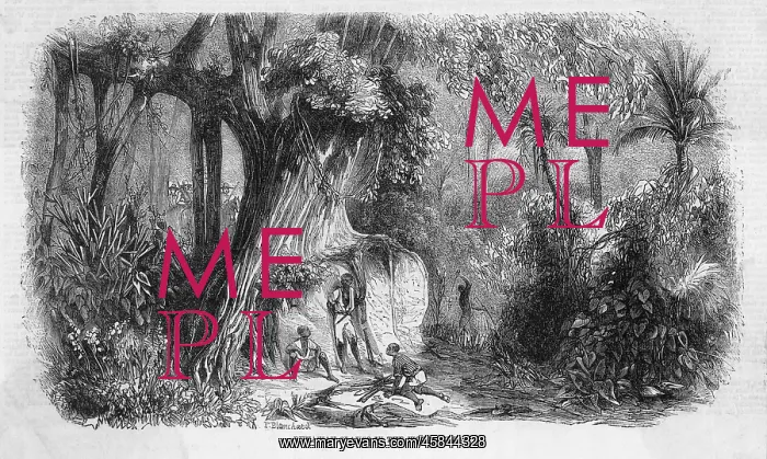  : SLAVERY / RUNAWAYS 1860