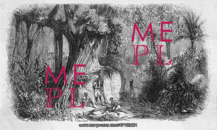: SLAVERY / RUNAWAYS 1860 : SLAVERY / RUNAWAYS 1860