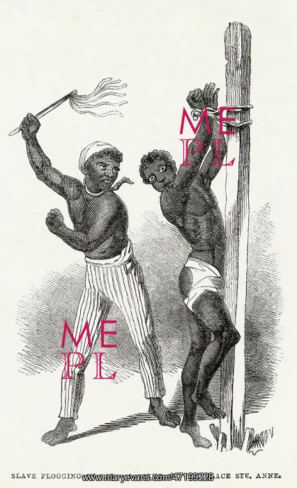  : Slavery - South America 1846