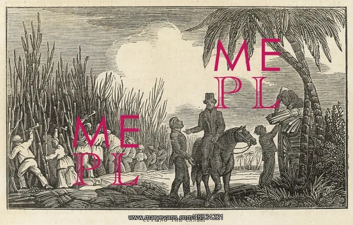  : Slavery - West Indies
