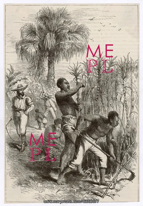  : Slavery in the West Indies