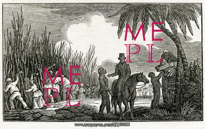 : Slavery - West Indies : Slavery - West Indies