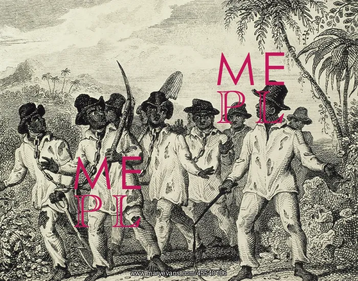 : Slaves chained together by the neck and driven to : Slaves chained together by the neck and driven to
