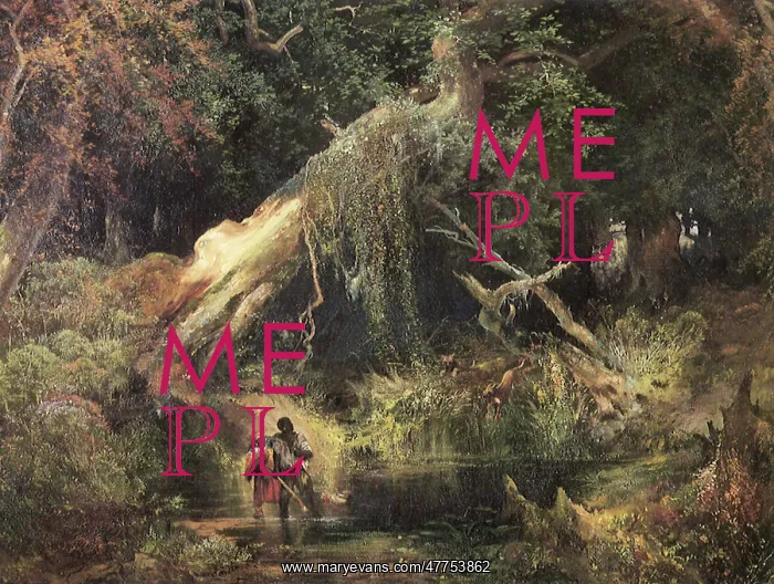  : Slaves Escaping through the Swamp