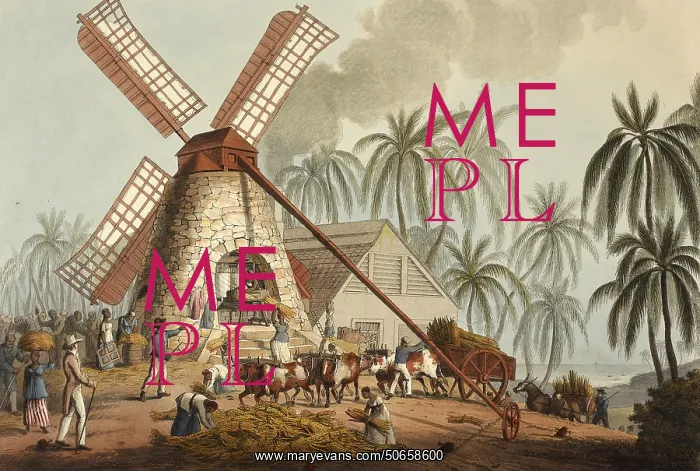 : Slaves Grinding Sugar Cane, 1823 : Slaves Grinding Sugar Cane, 1823