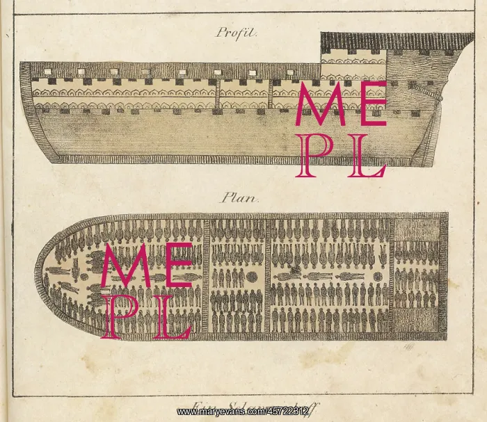 : Slaves Stowed on Ship : Slaves Stowed on Ship
