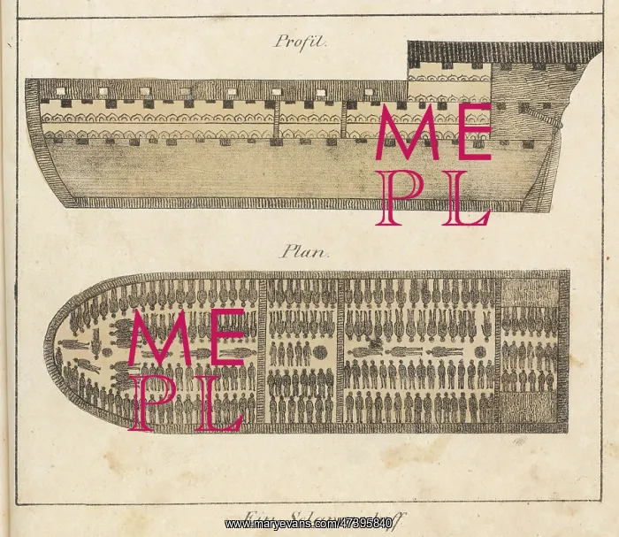 : Slaves Stowed on Ship : Slaves Stowed on Ship