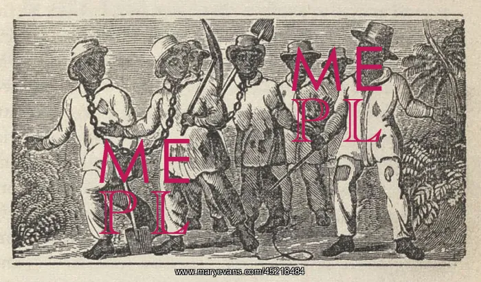 : Slaves often travel in ?coffles, ? chained ? : Slaves often travel in ?coffles, ? chained ?