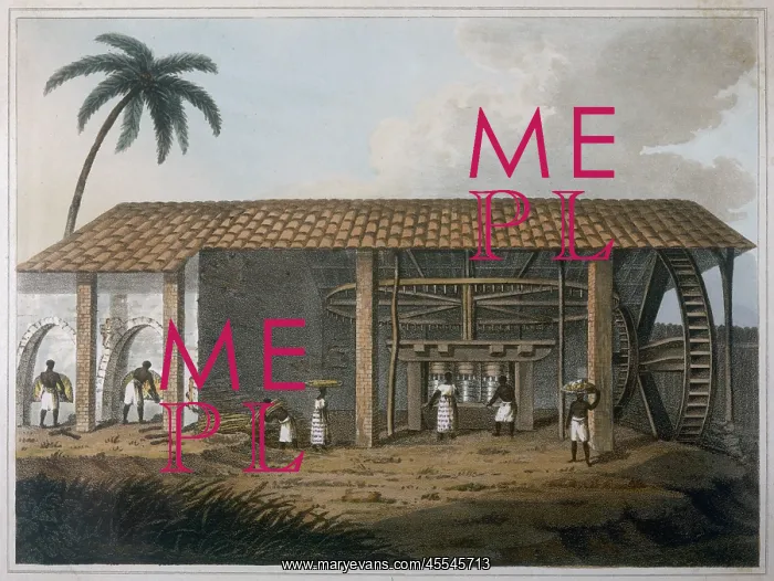  : Slaves working in a Sugar Mill in the West Indies