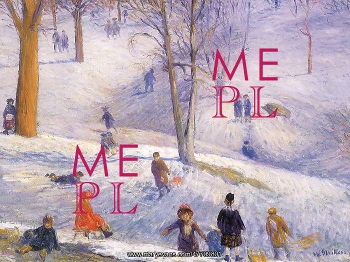  : Sledding, Central Park