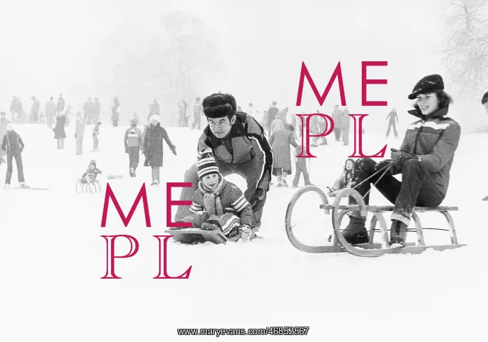 : Sledding in Neuwaldegg Park 1979 : Sledding in Neuwaldegg Park 1979