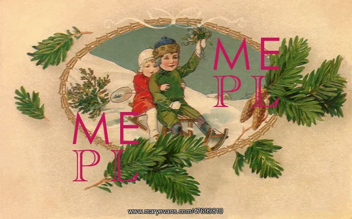  : Sledding, Spruce Border