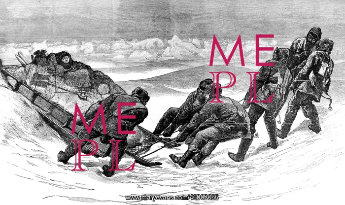 : Sledge Hauling, British Arctic Expedition, 1875-1876 : Sledge Hauling, British Arctic Expedition, 1875-1876