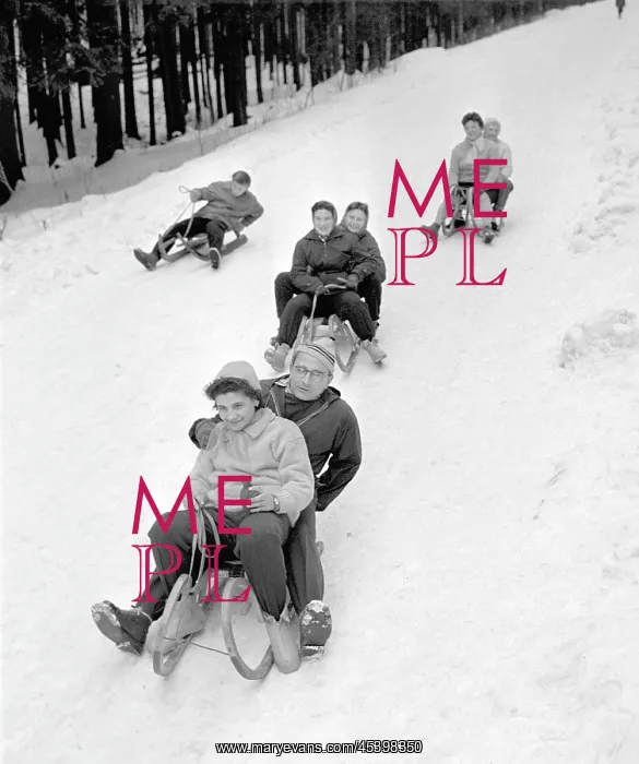 : Sledge - sled - winter holidays : Sledge - sled - winter holidays