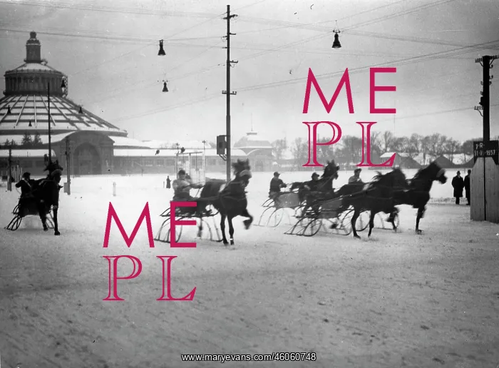 : Sledging at the Krieau : Sledging at the Krieau