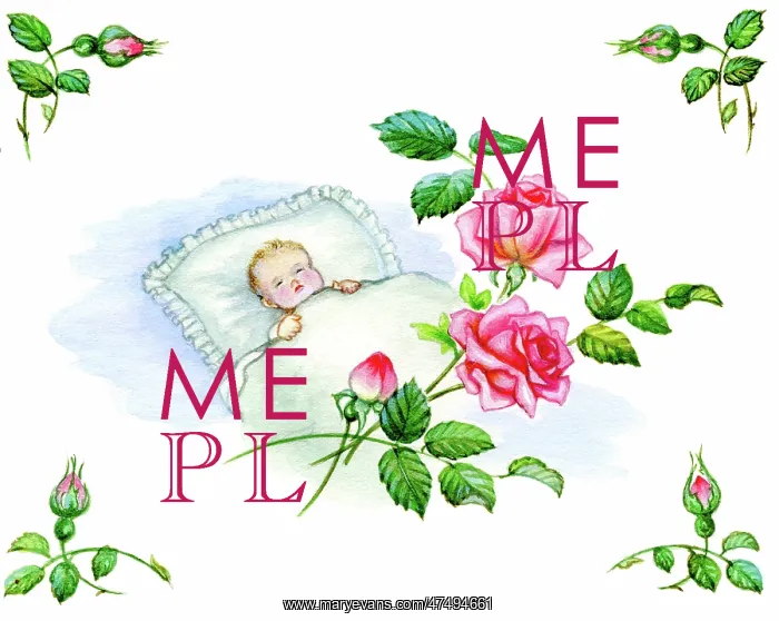 : Sleeping Baby with pink roses : Sleeping Baby with pink roses