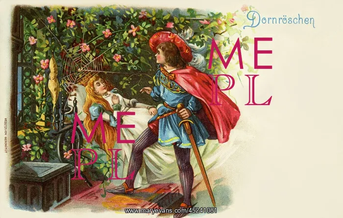: Sleeping Beauty : Sleeping Beauty