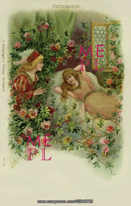 : The Sleeping Beauty : The Sleeping Beauty