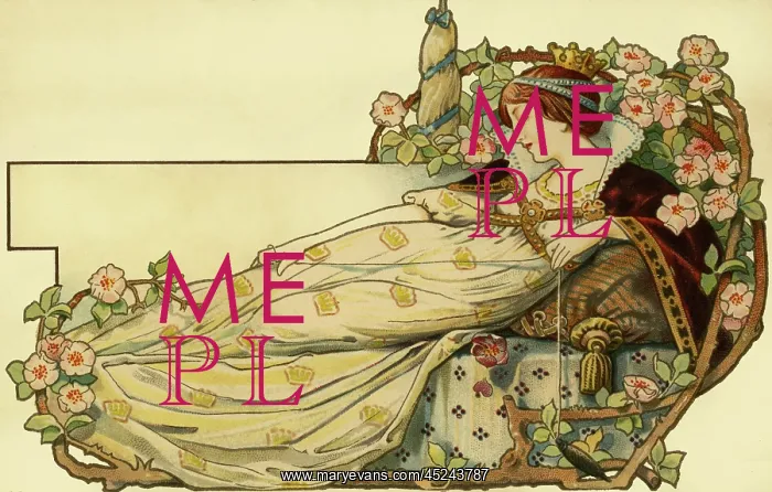 : The Sleeping Beauty : The Sleeping Beauty