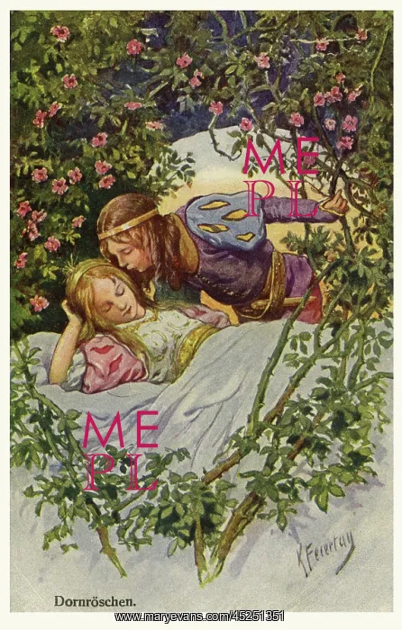 : The Sleeping Beauty : The Sleeping Beauty